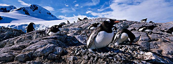 暴雪技术总监：《守望先锋2》Switch版游戏功能都包含 视效上让步